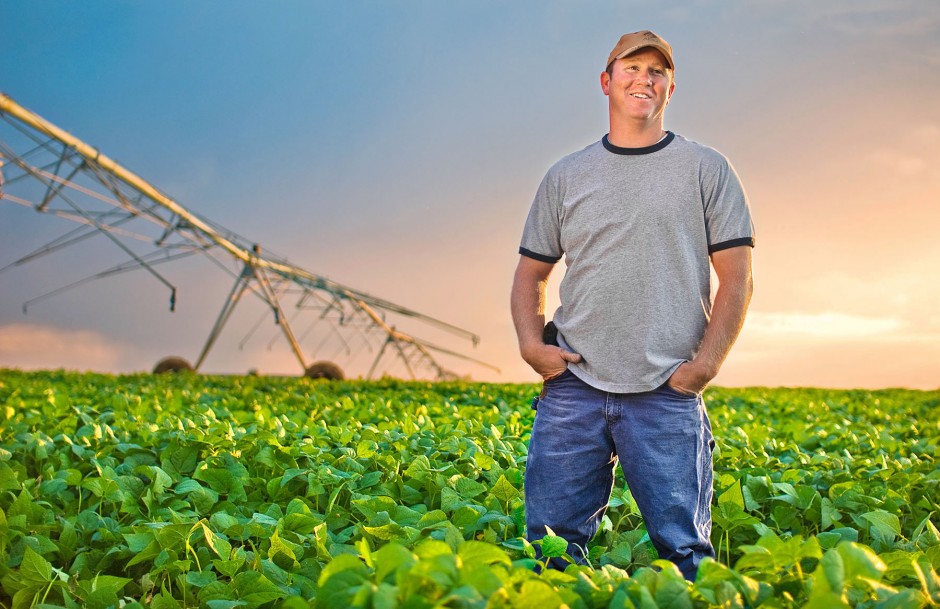 Idaho, A Farmer stands in his field of Soybeans.