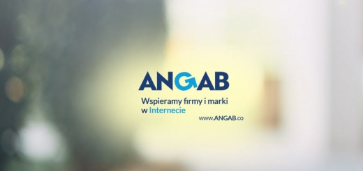 Angab-co-04